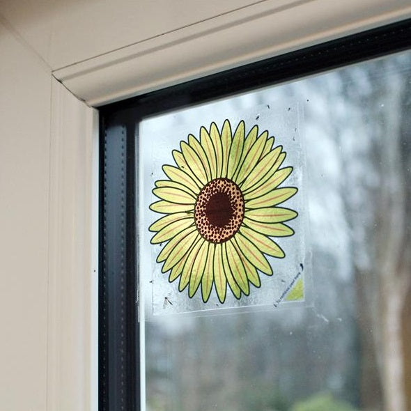 leserie Advanced Fly Trap Window Stickers – Pack of 4 - Image 4
